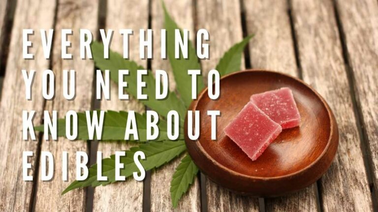 Everything You Need To Know About Edibles