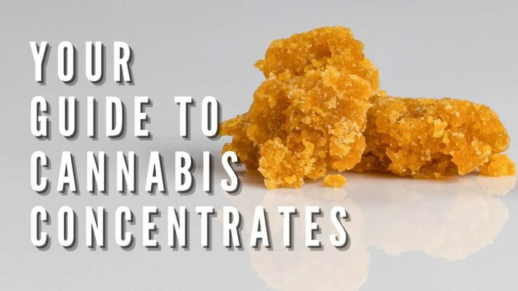 Your Guide To Cannabis Concentrates
