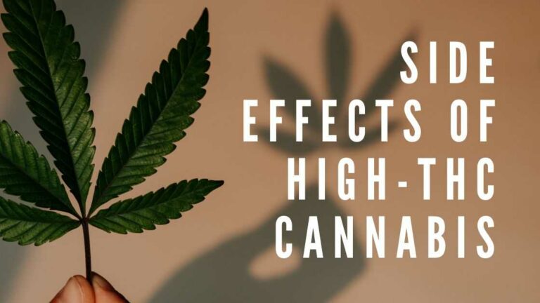 Side Effects Of High-THC Cannabis