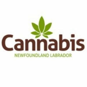 Cannabis NL