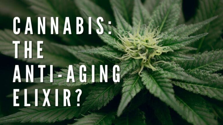 Cannabis: The Anti-Aging Elixir?
