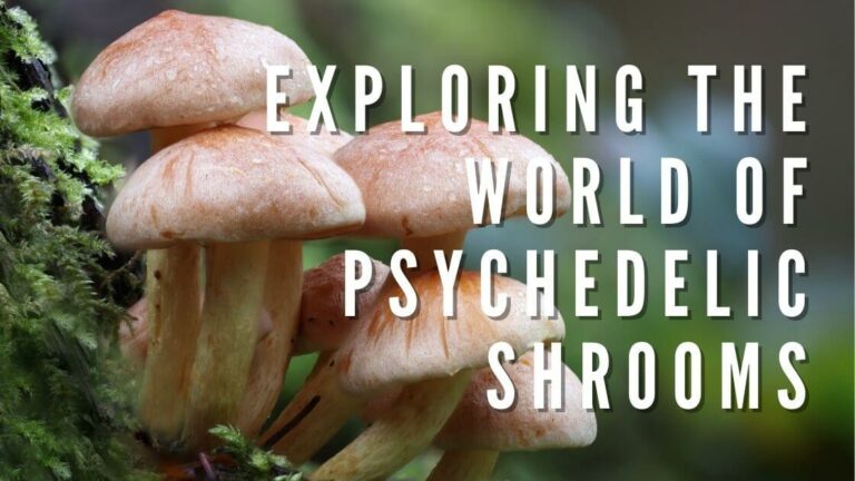 Exploring the World of Psychedelic Shrooms