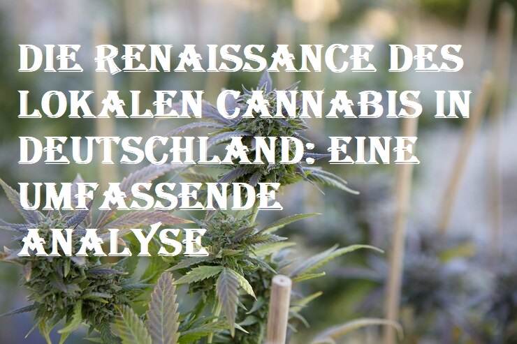 lokalen Cannabis in Deutschland