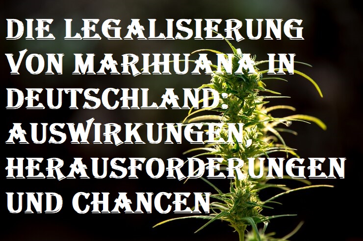 Marihuana in Deutschland legalisiert